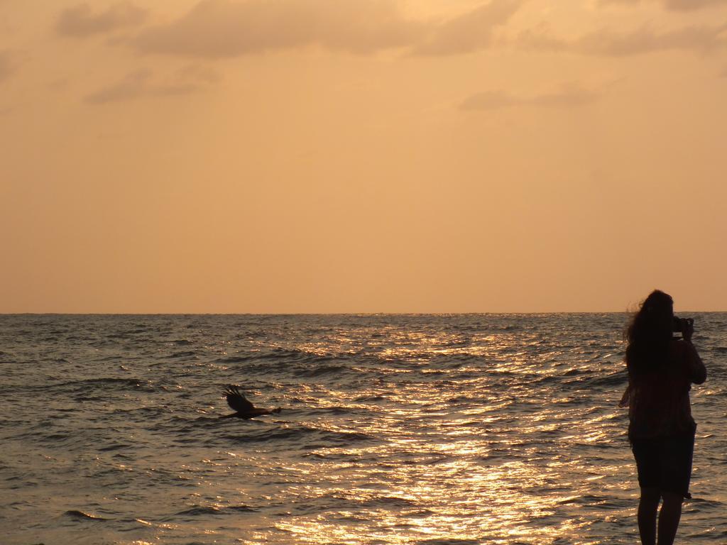 Thoms Beach Homestay Alappuzha Eksteriør bilde